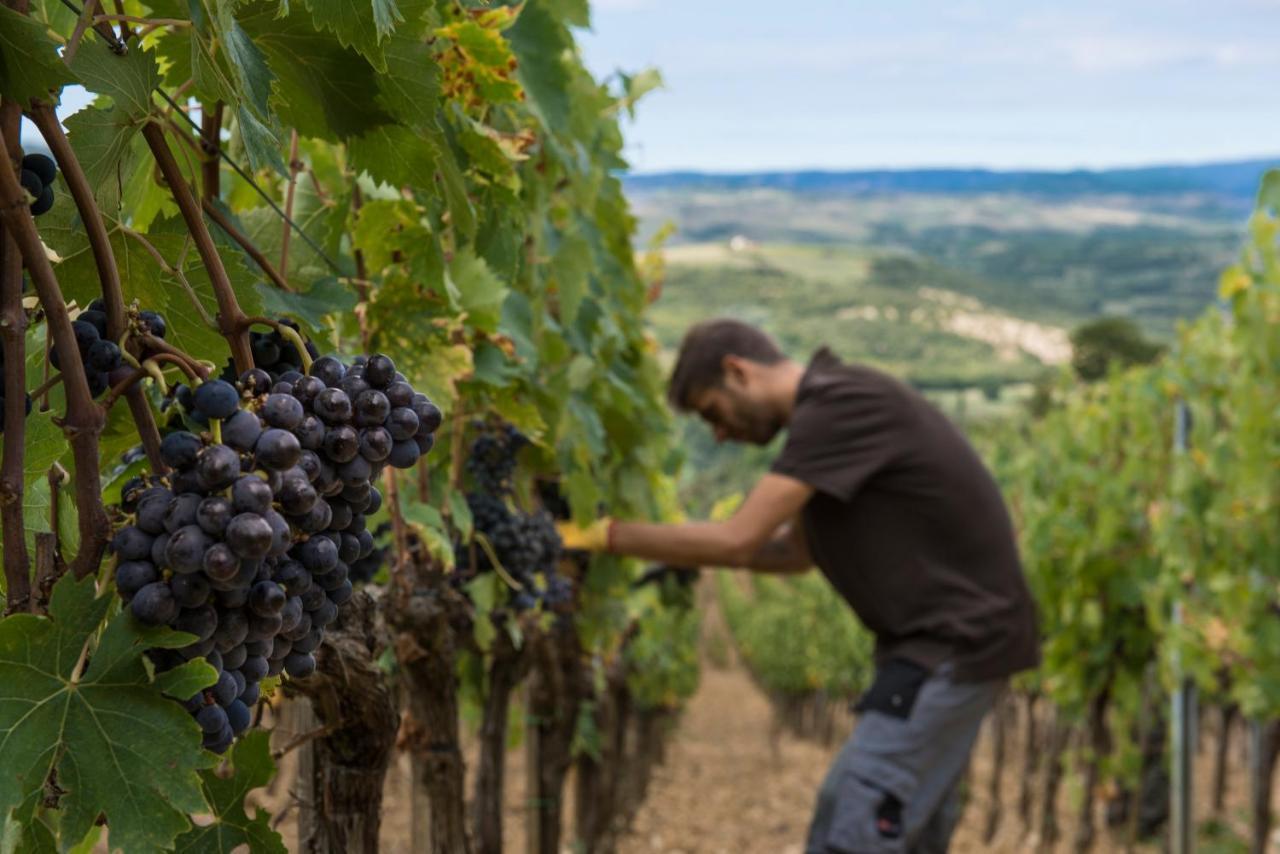 Castello Di Velona Resort, Thermal Spa & Winery Montalcino Exterior foto